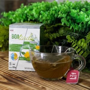 CHÁ BOA TARDE • 15 SACHÊS - SABOR HORTELÃ E ABACAXI - GELADO E QUENTE
