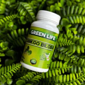 GINKGO BILOBA - 60 CÁPSULAS 500MG