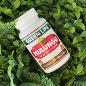 MULUNGU - 60 CÁPSULAS 500MG