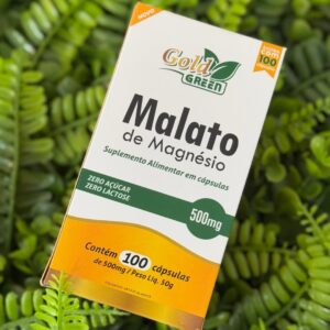 MAGNÉSIO MALATO (DIMALATO) - 100 CÁPSULAS 500MG