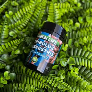 TRIBULUS TERRESTRIS (EXTRATO SECO) - 60 CÁPSULAS 500MG