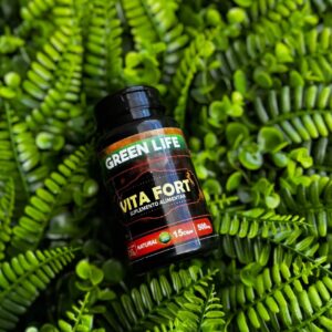 VITA FORT - 15 CÁPSULAS 500MG