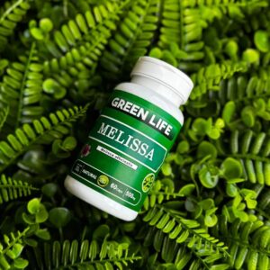 MELISSA - 60 CÁPSULAS 500MG