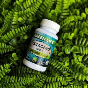 COLÁGENO TIPO 2 - 60 CÁPSULAS 500MG
