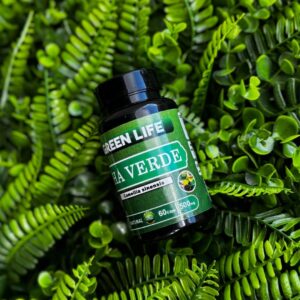 CHÁ VERDE - 60 CÁPSULAS 500MG