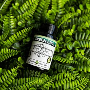 ERVA BOTÃO - 60 CÁPSULAS 500MG