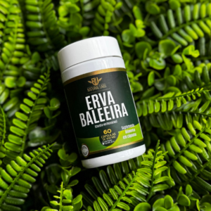 ERVA BALEEIRA - 60 CÁPSULAS 500MG