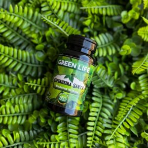 ESPINHEIRA SANTA - 60 CÁPSULAS 500MG