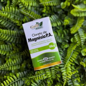CLORETO DE MAGNÉSIO P.A. - 60 CÁPSULAS 500MG