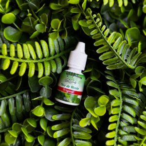 ÓLEO DE MENTA 10ML - SAN JULLY