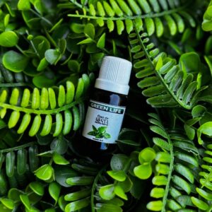 ÓLEO DE MENTA 10ML