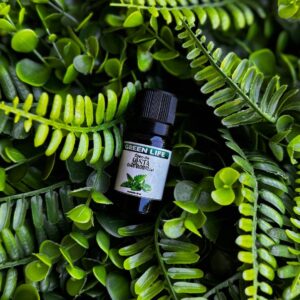 ÓLEO ESSENCIAL DE MENTA 10ML
