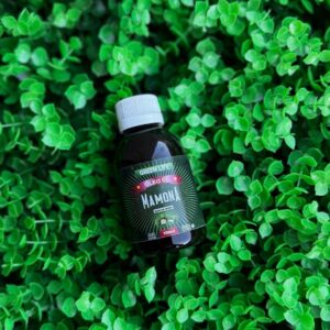 ÓLEO DE MAMONA (RÍCINO) 100ML
