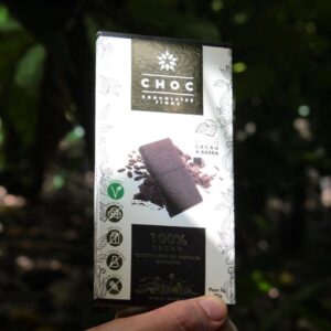 CHOCOLATE 100% CACAU | INTENSO 80G - CHOC FINOS